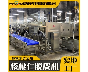 6米核桃仁去皮機 自動過濾核桃仁去皮設(shè)備 華邦